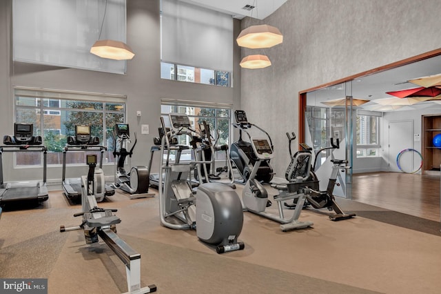 workout area featuring carpet and a high ceiling