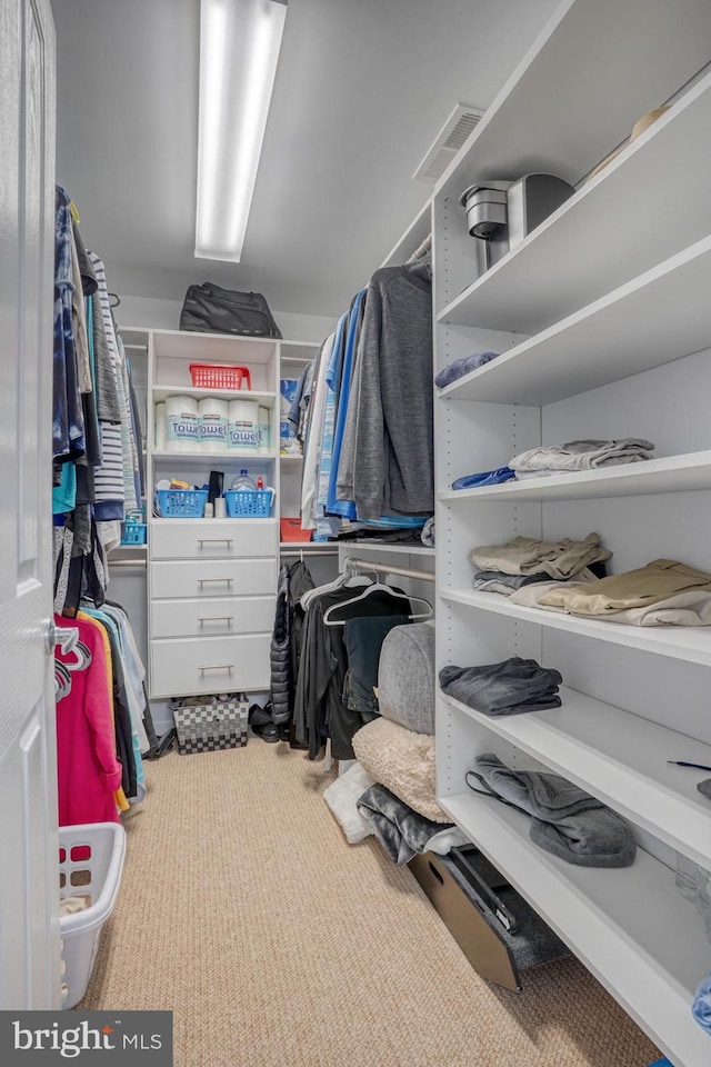 walk in closet with carpet flooring