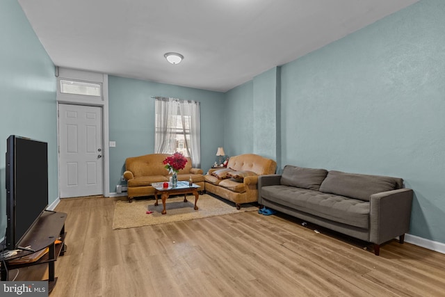 living room with light hardwood / wood-style flooring