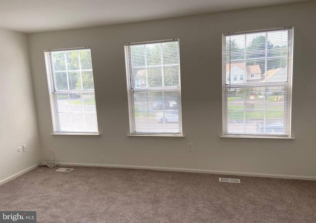 carpeted empty room with a wealth of natural light