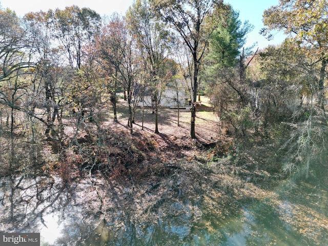 view of nature featuring a water view