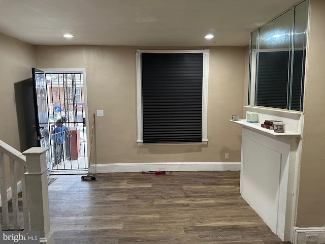 entryway featuring wood-type flooring