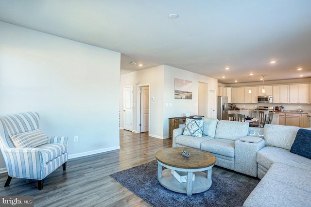 living room featuring dark hardwood / wood-style flooring