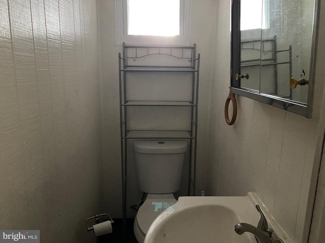 bathroom with sink, plenty of natural light, and toilet