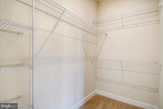 spacious closet with carpet flooring