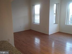 spare room featuring light hardwood / wood-style floors and a wealth of natural light