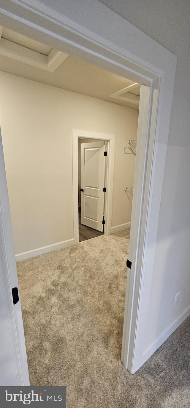 hallway featuring carpet flooring