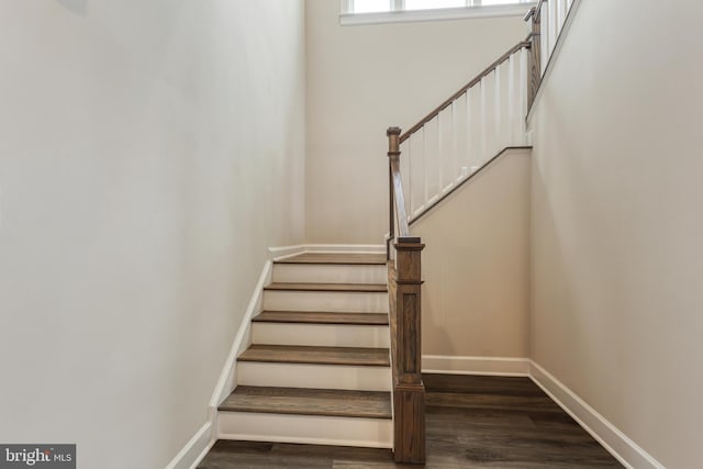 stairway with wood-type flooring