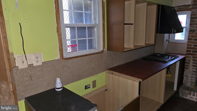 kitchen with gas cooktop, tasteful backsplash, and exhaust hood