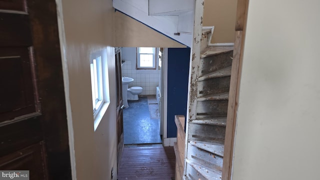 corridor featuring dark hardwood / wood-style floors and tile walls