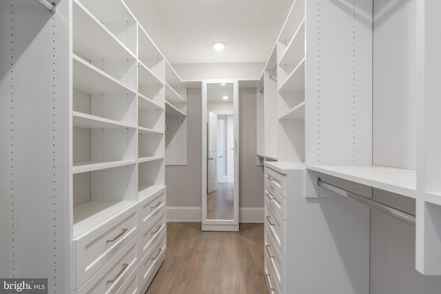 walk in closet featuring wood finished floors