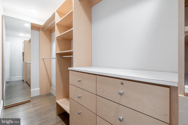 spacious closet with light wood-style flooring