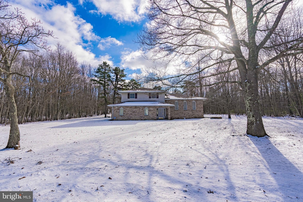 view of yard covered in snow