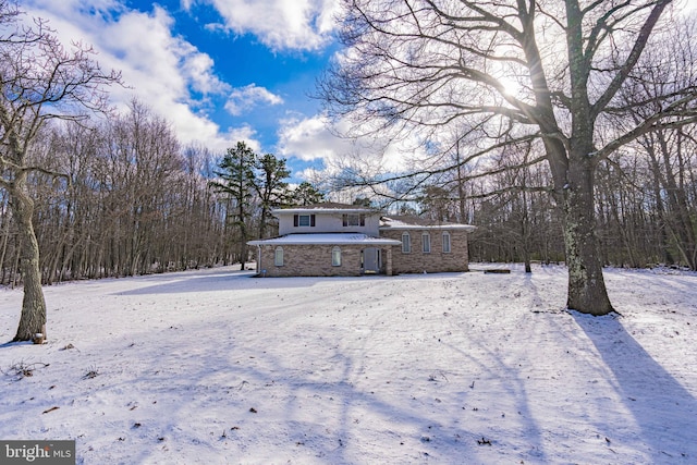 view of yard covered in snow