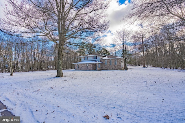 view of yard covered in snow