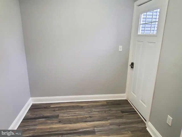 entryway featuring dark wood-type flooring