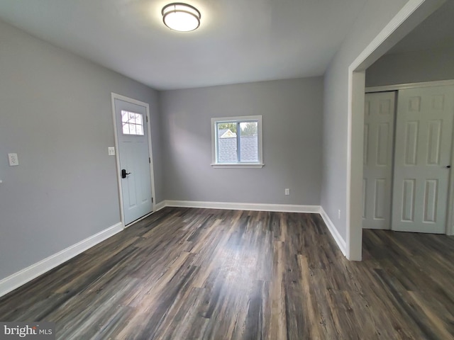 foyer with dark wood-type flooring