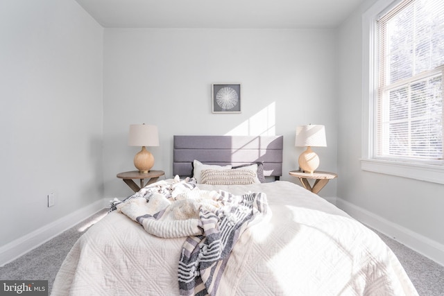 bedroom featuring carpet floors