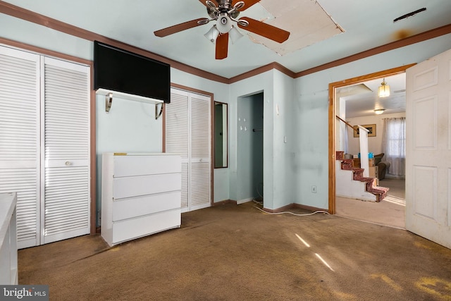 unfurnished bedroom featuring multiple closets, ceiling fan, carpet, and ornamental molding