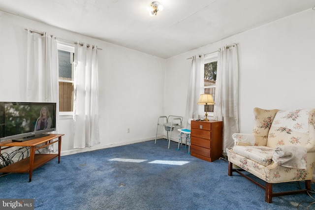 living area featuring carpet flooring