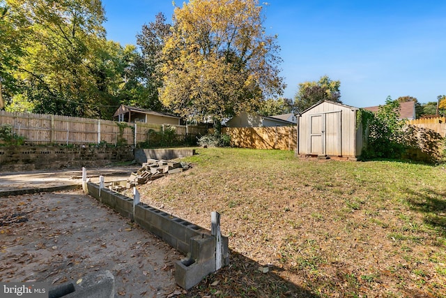 view of yard with a storage unit