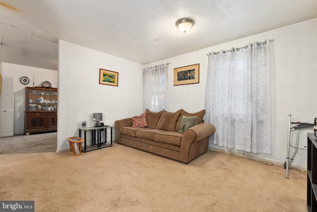 living room featuring light colored carpet