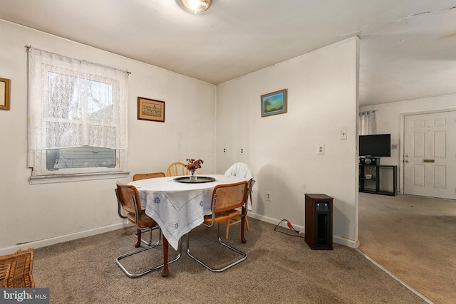 dining room featuring carpet floors