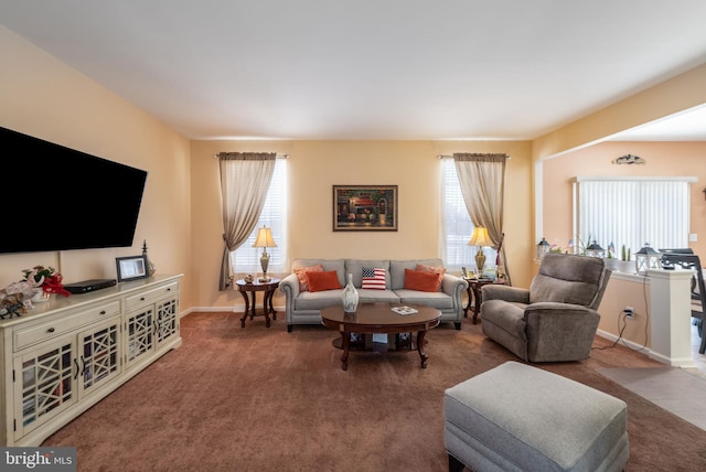 carpeted living room with a wealth of natural light