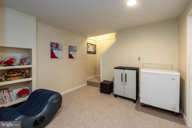 laundry area with light carpet