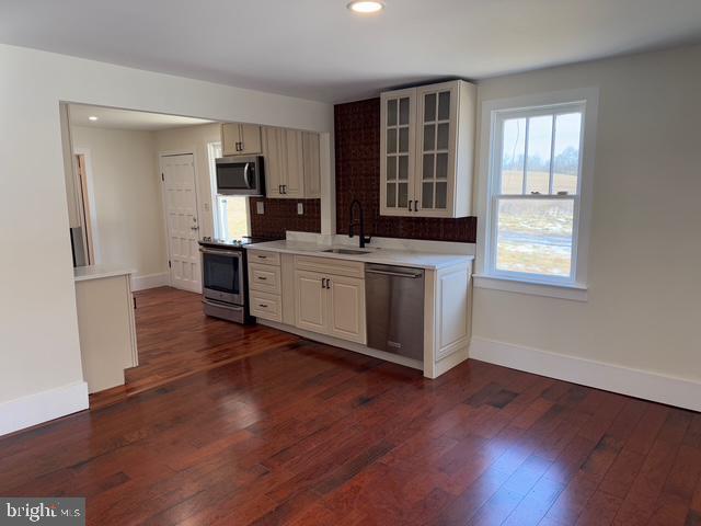 kitchen featuring sink, dark wood-type flooring, and stainless steel appliances