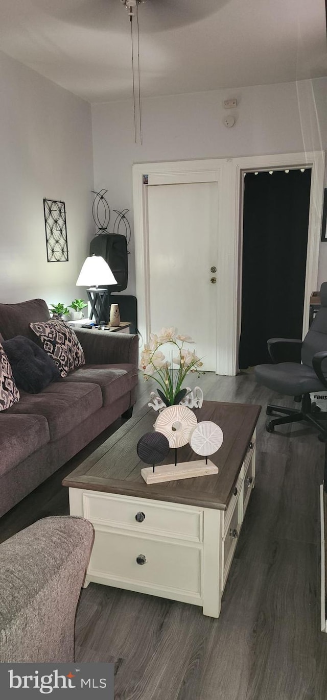 living room with dark wood-type flooring