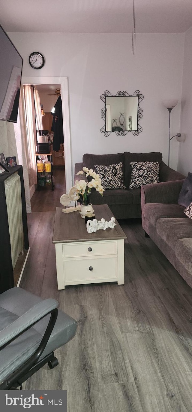 living room with dark hardwood / wood-style flooring and radiator