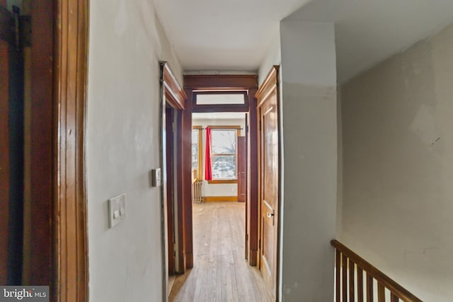 hallway featuring light hardwood / wood-style flooring