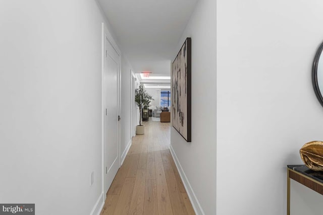 hallway featuring light wood-type flooring