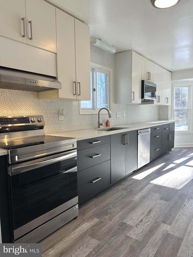 kitchen featuring a healthy amount of sunlight, white cabinetry, hardwood / wood-style floors, and stainless steel appliances