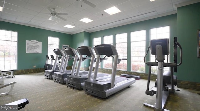 exercise room featuring ceiling fan, a paneled ceiling, and carpet flooring