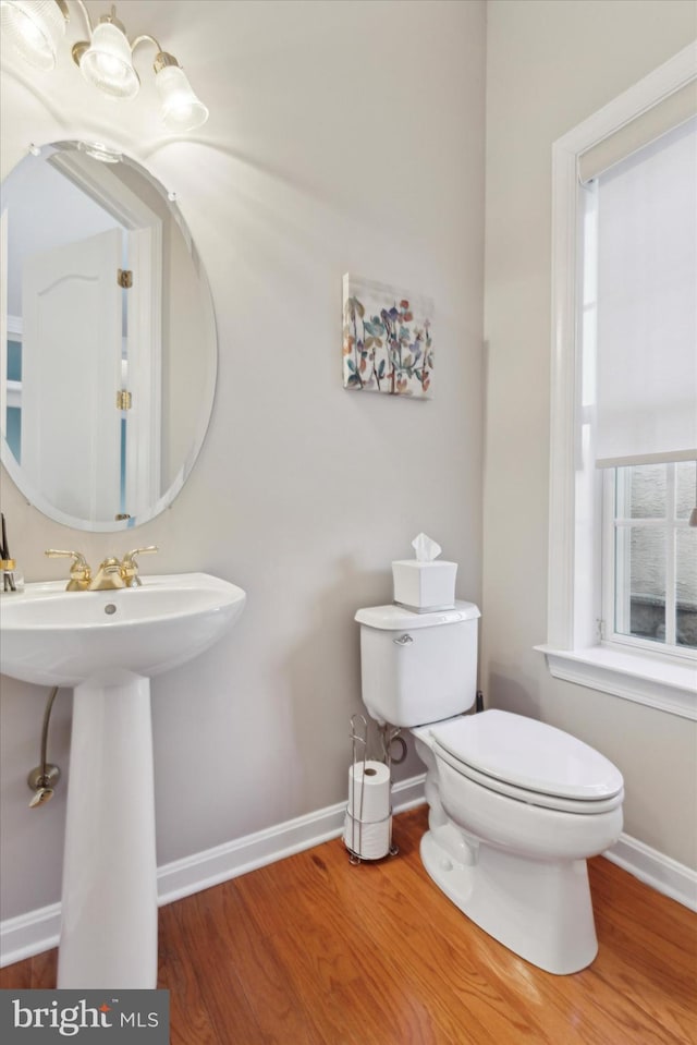 bathroom featuring toilet and hardwood / wood-style flooring