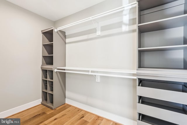 walk in closet with wood-type flooring