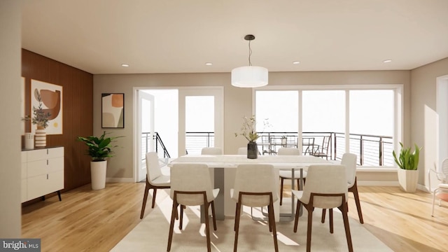 dining area with light hardwood / wood-style flooring