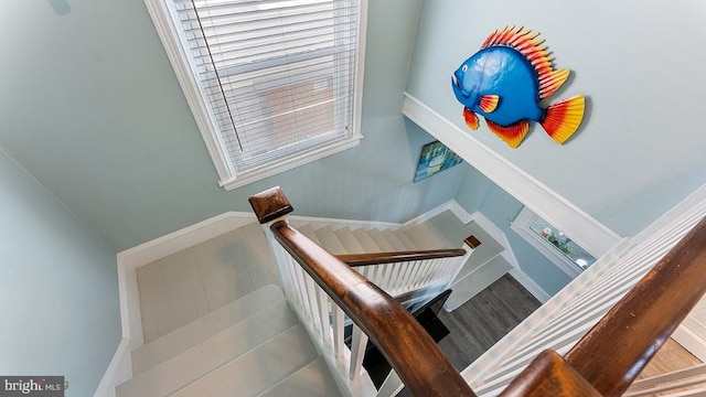 stairs with wood-type flooring