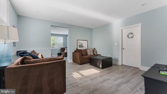 living room featuring light hardwood / wood-style flooring