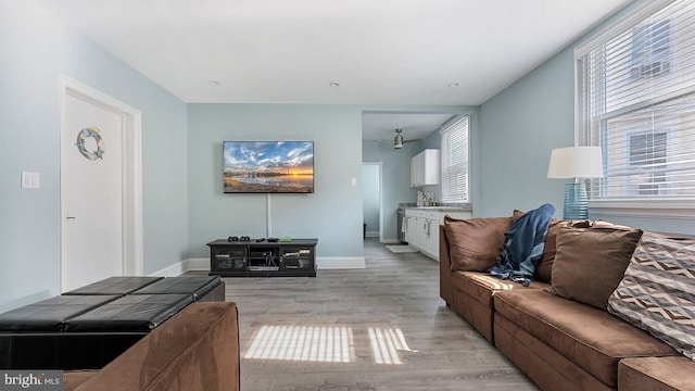 living room featuring light hardwood / wood-style flooring