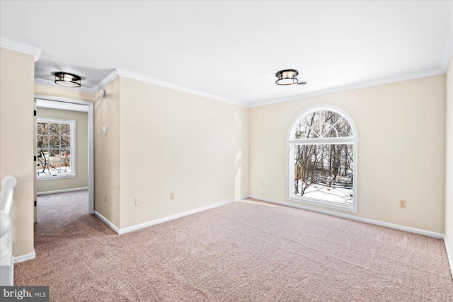 unfurnished room with carpet floors and ornamental molding