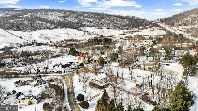 snowy aerial view with a mountain view