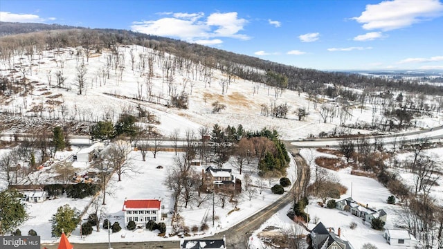 view of snowy aerial view