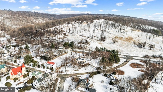 view of snowy aerial view