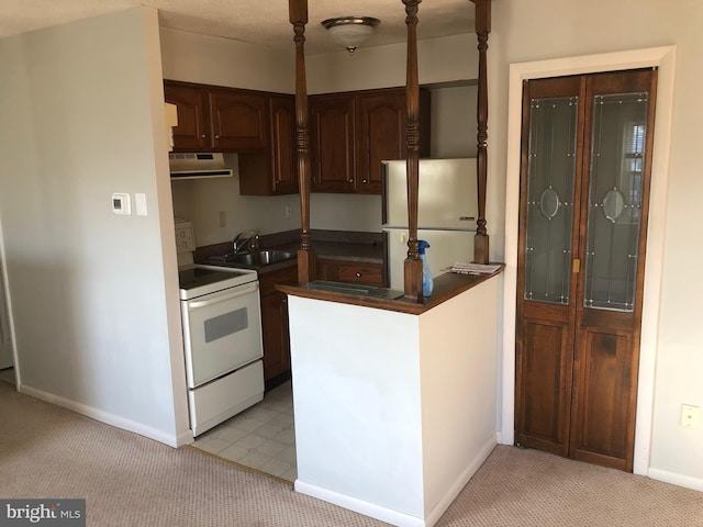 kitchen with dark brown cabinetry, sink, light colored carpet, and white appliances