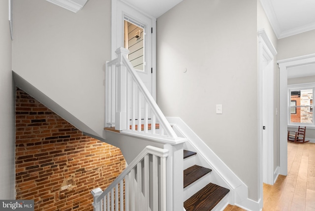 staircase with wood-type flooring and ornamental molding