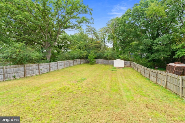 view of yard with a storage unit