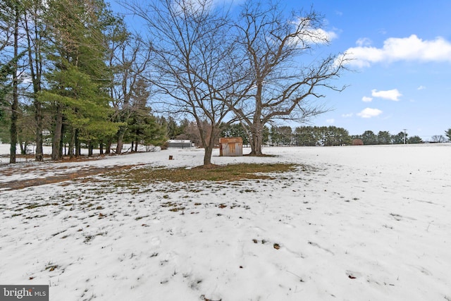 view of yard covered in snow